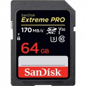 SD Card 64GB CL10 SDSDXXY-064G-GN4IN