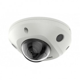 CAMERA DS-2CD2543G2-I  2.8MM