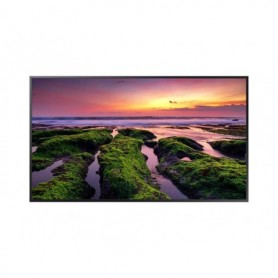 Ecran profesional Samsung QB98T
